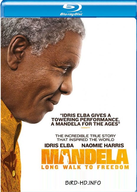 Mandela: Long Walk to Freedom(2013)