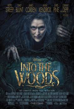 Into the Woods [DVD]