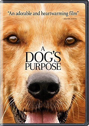 A Dog's Purpose (2017) [DVD][original]