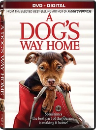 A Dog's Way Home (2019) [DVD]