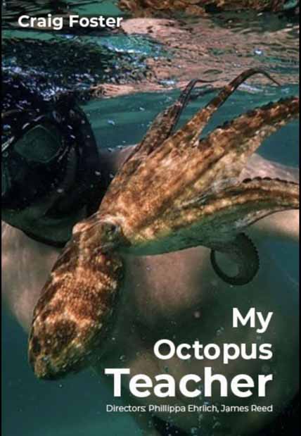 My Octopus Teacher (2021) [Hi-Def DVD]