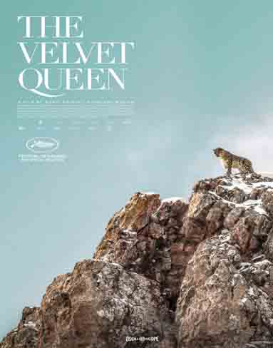 The Velvet Queen (2022) [Blu-ray]