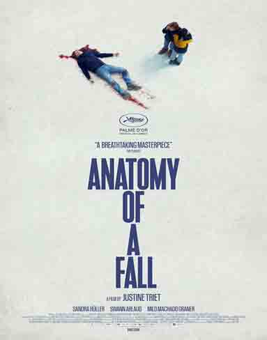 Anatomy of a Fall (2024) [Blu-ray]