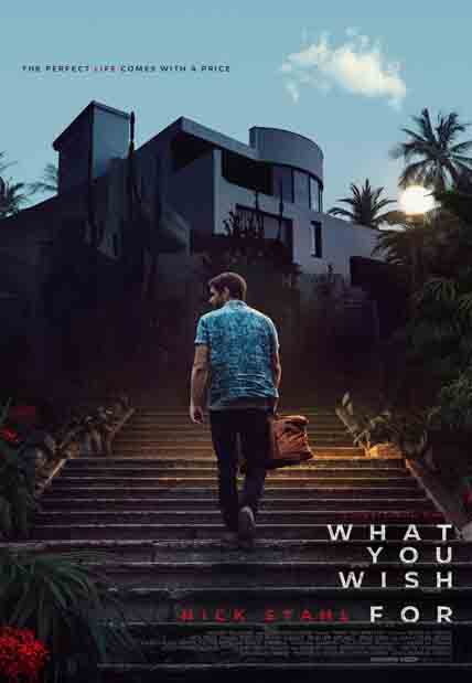 What You Wish For (2024) [DVD]