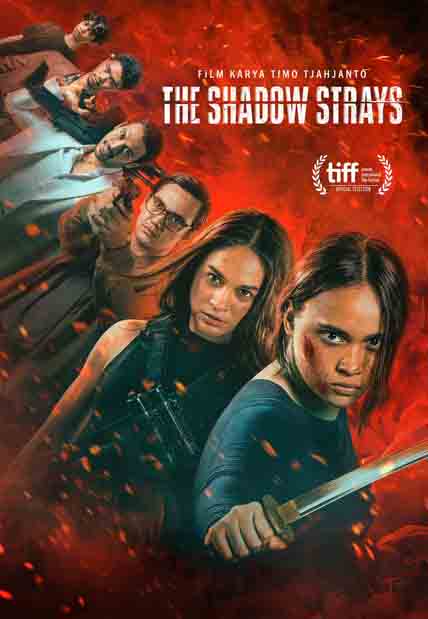 The Shadow Strays (2024) [DVD]